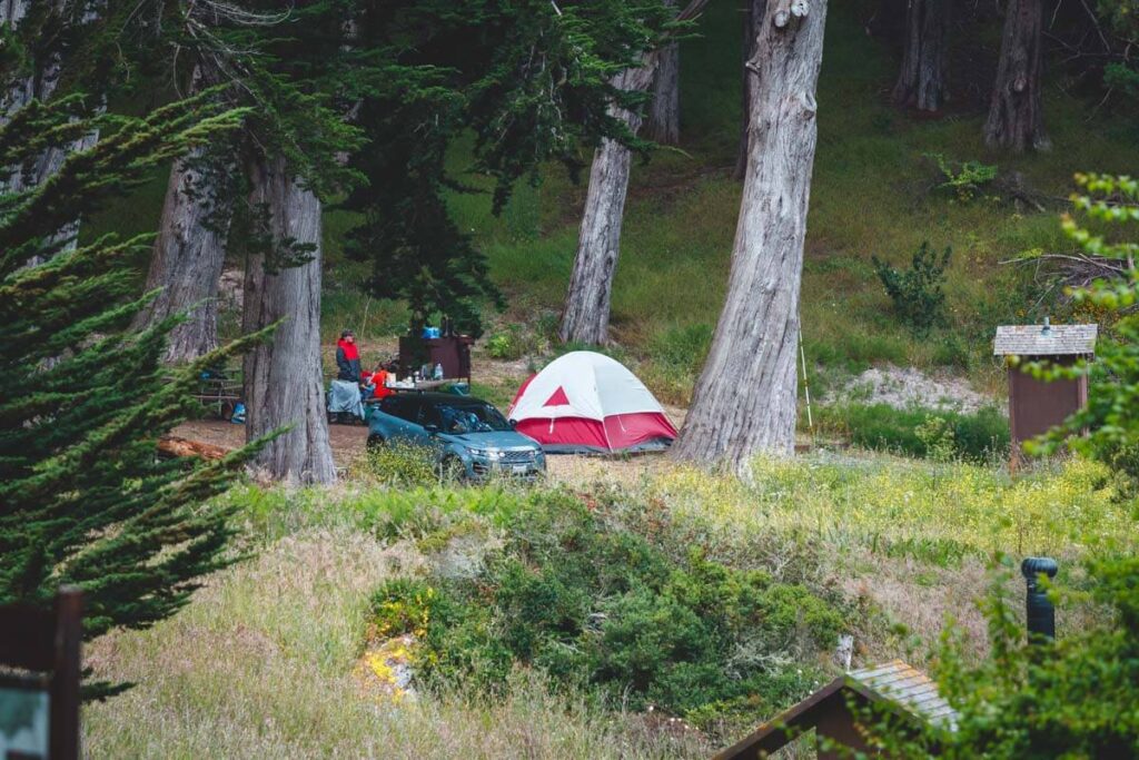 A family pitched at Kirby Beach camping area surrounded by trees in San Francisco.