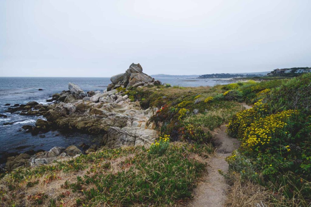 Carmel Meadows hiking trail running alongside the ocean through short bushes.