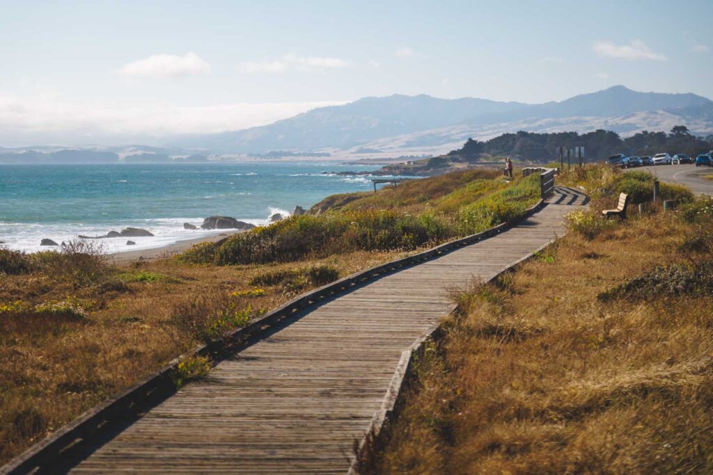 A couple looking out over the ocean from the boardwalk nearby Moonstone Beach.