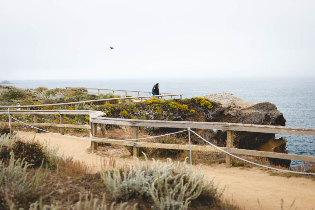A couple hugging on a path by the cliffside while hiking in Point Lobos.