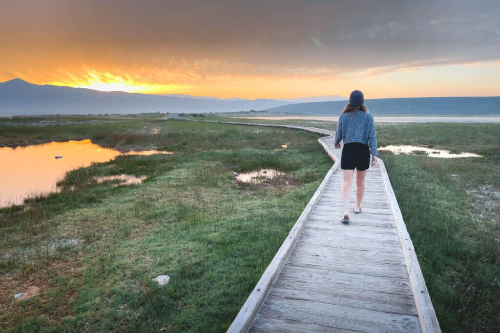 A female tourist walking along the board walk at Wild Willy's Hot Springs at sunrise.