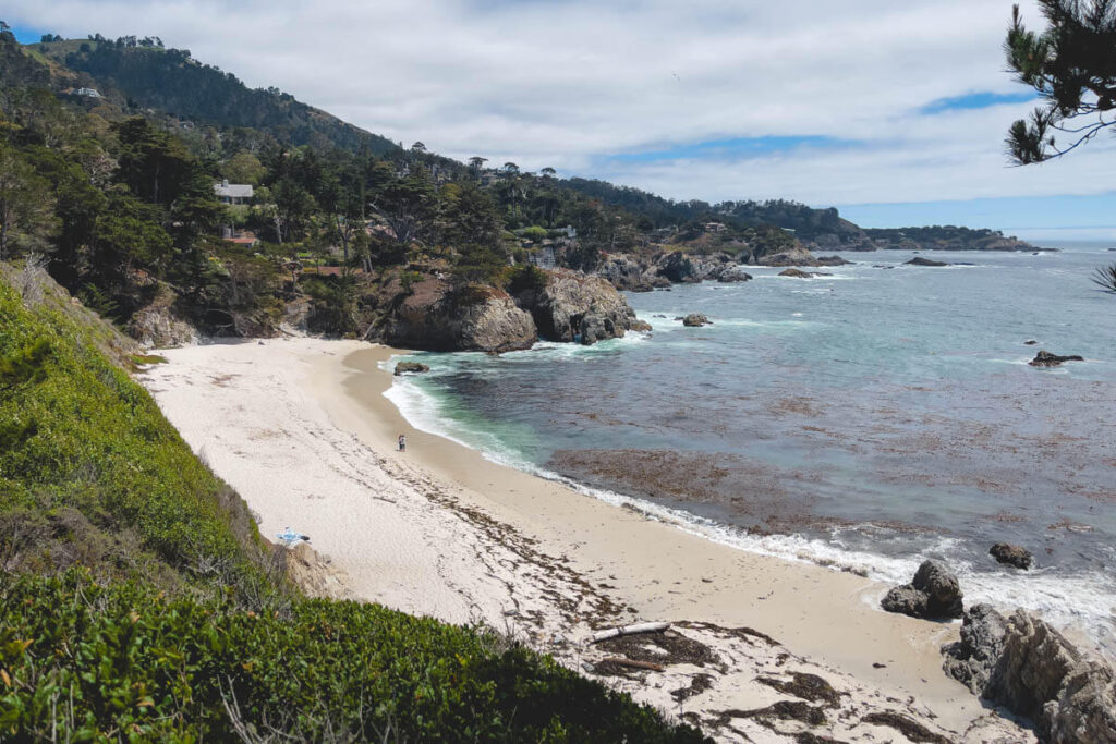 Two tourists standing on an empty Gibson Beach surrounded by trees and bushes in Point Lobos.