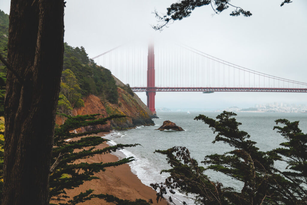 Low cloud over the Golden Gate bridge framed by trees in San Francisco.