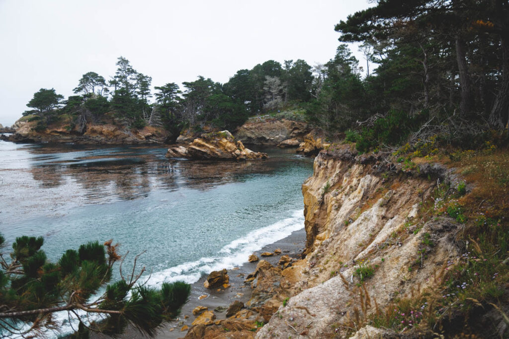 A view of the orange cliffs covered in trees from the Granite Point Trail in Point Lobos.