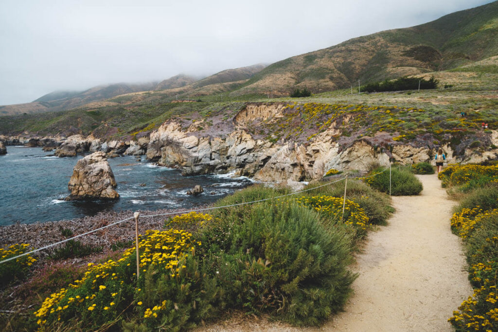 A female hike walking along a pathway between bushes with a view of the ocean in Garrapata State Park.