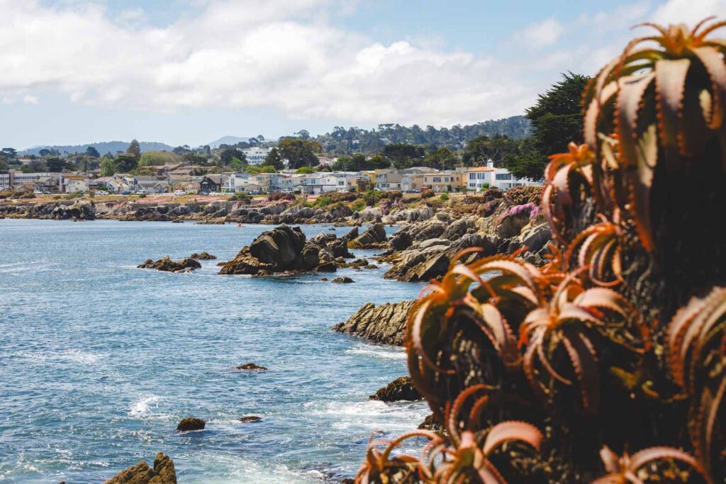 Colorful houses along the coast of Monterey Town.