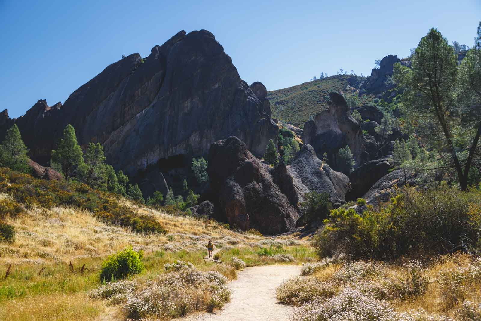 Nina hiking besides a huge rock in Pinnacles National Park on a sunny day.