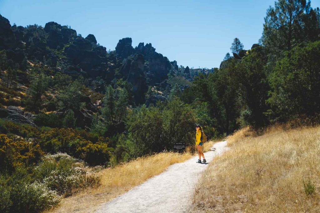 Nina admiring the view of trees and rocks from the Juniper Canyon Trail in Pinnacles National Park.