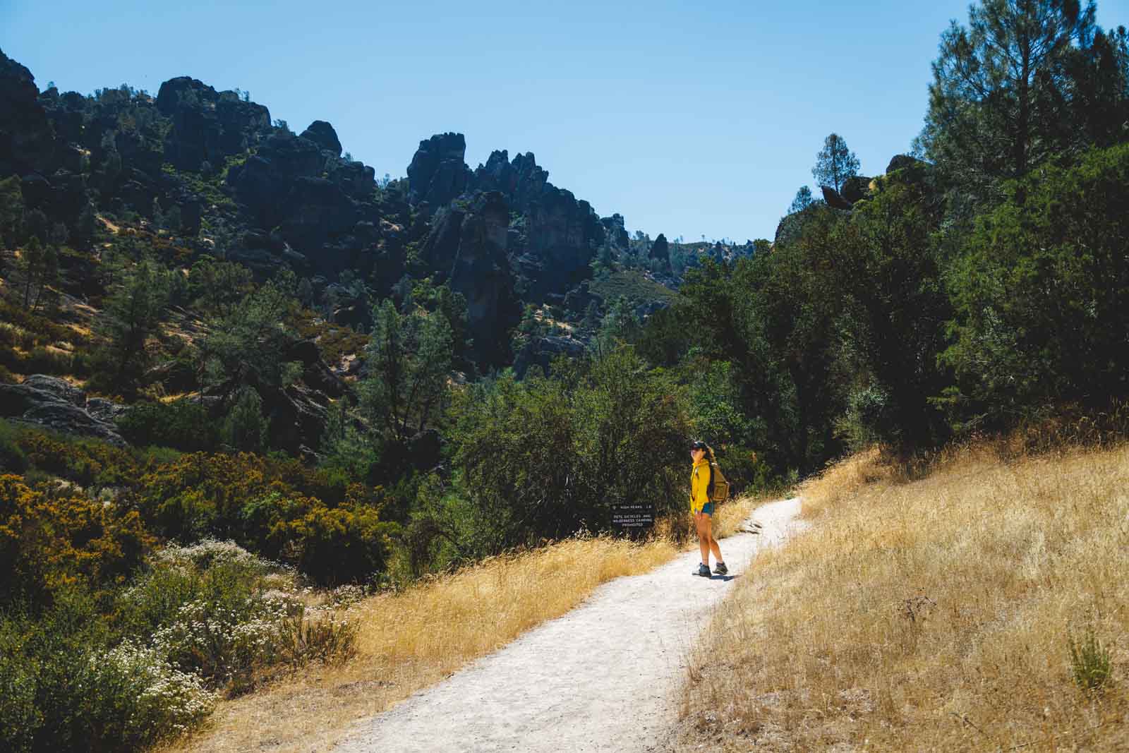 Nina admiring the view of trees and rocks from the Juniper Canyon Trail in Pinnacles National Park.