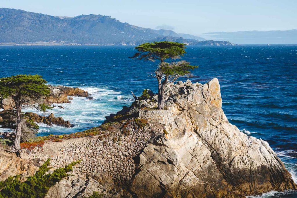 The lone cypress tree on a small headland along the 17 Mile Drive near Monterey.