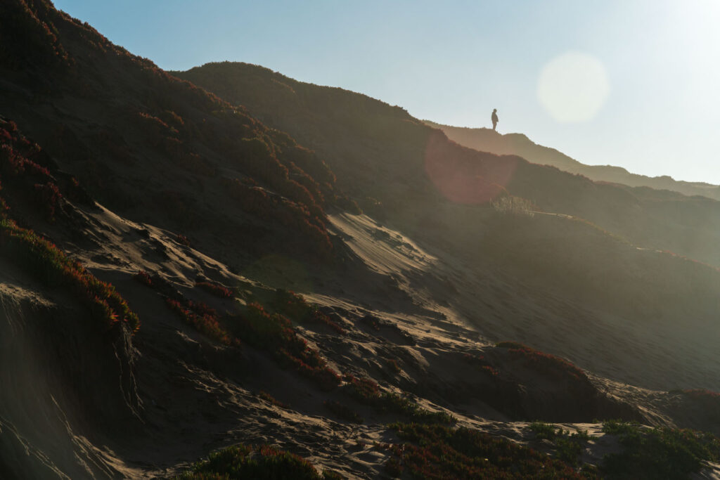 A man standing on the dunes in Fort Ord Dune State Park at golden hour.