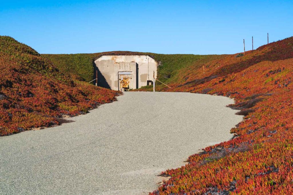 A military bunker surrounded by red plants in Fort Ord Dunes State Park.