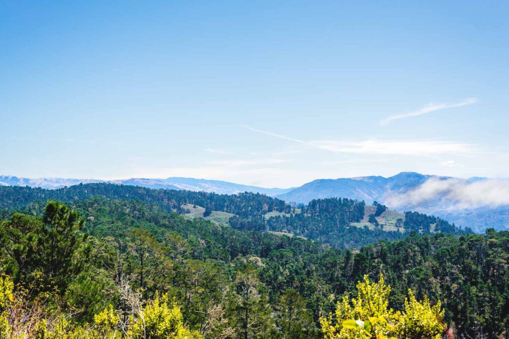 A view across trees and mountains from Jack's Peak County Park.