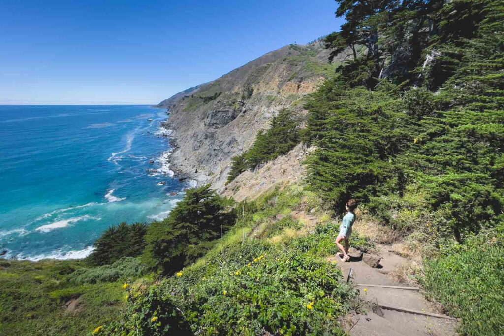 Nina looking out over the Big Sur coastline from Ragged Point.