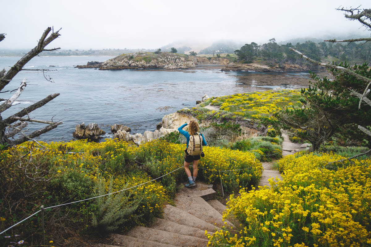 Point Lobos Hike.