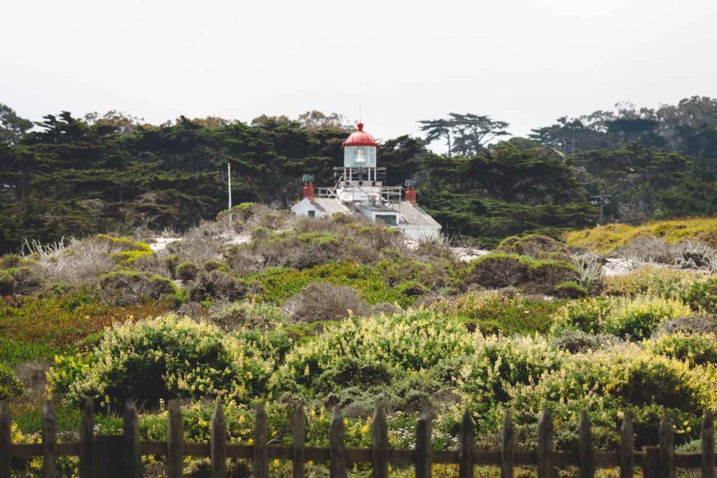 Point Pino Lighthouse poking up over a field of buses along the Monterey Peninsula Trail.
