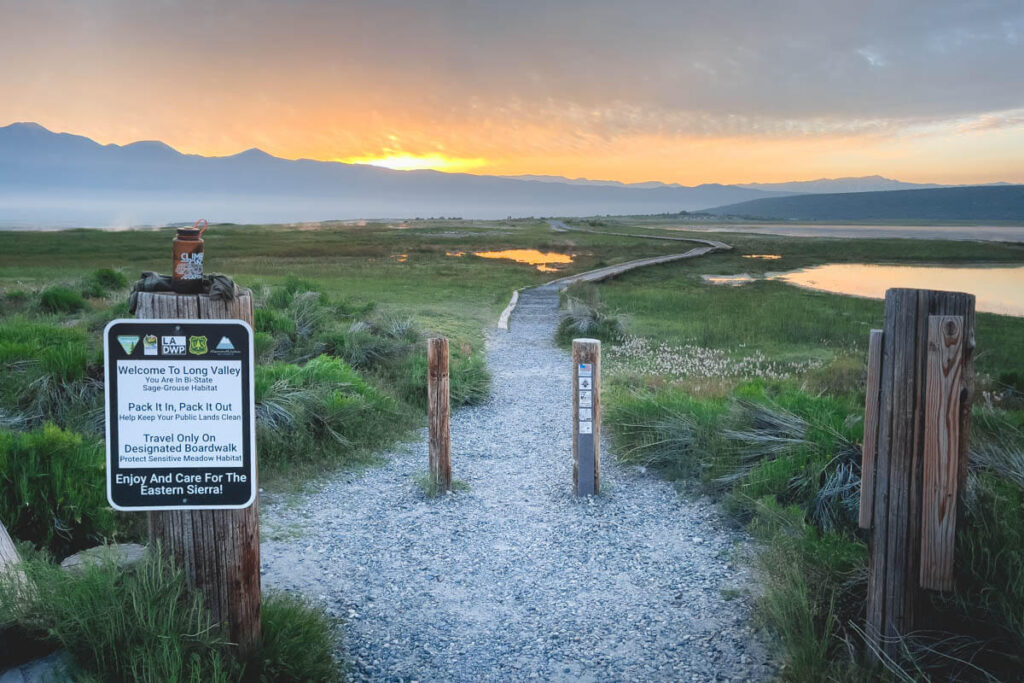 Wild Willy's Hot Springs trailhead sign with the pathway snaking off into the distant sunrise.