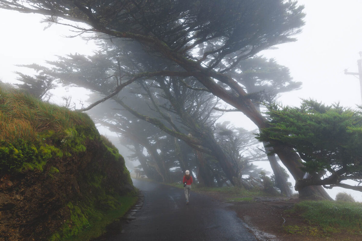 Point Reyes Wind 16 Things to Do in Point Reyes National Seashore