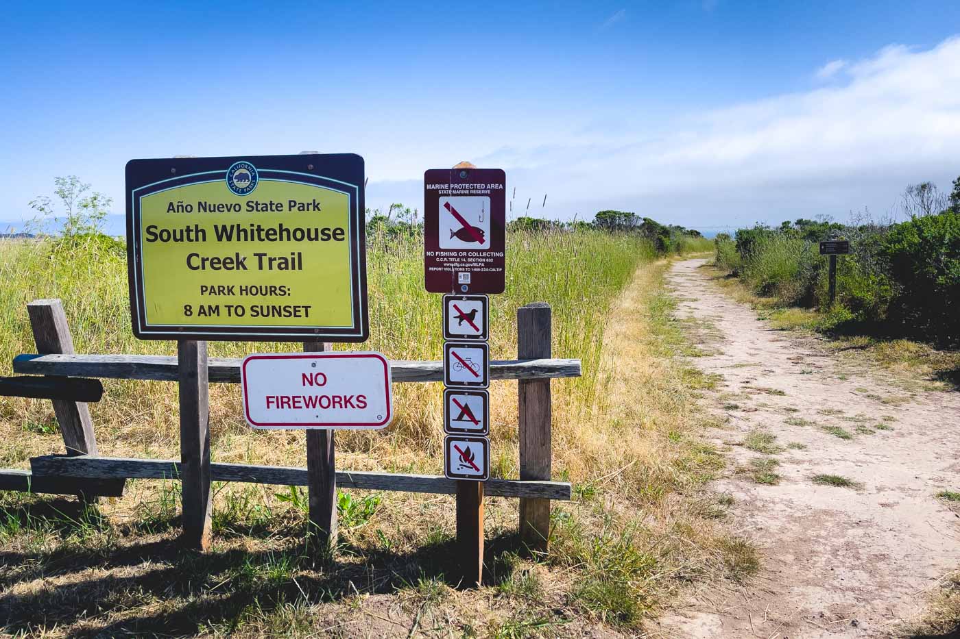 Your Guide to Año Nuevo State Park