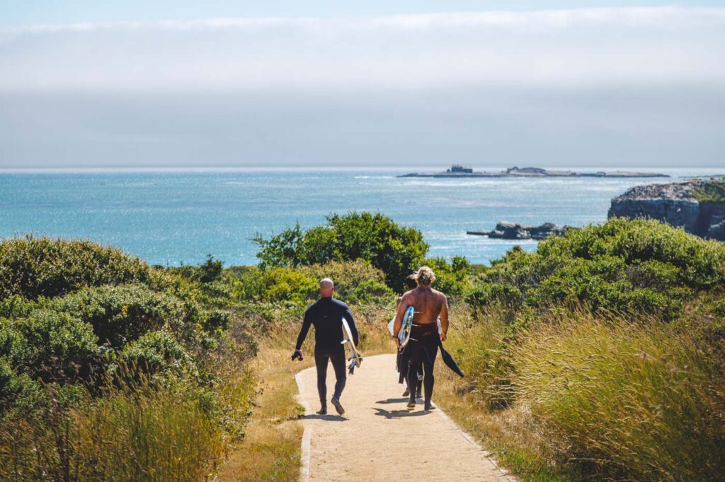 Three surfers walking along Año Nuevo Point Trail with a distant view of the ocean.