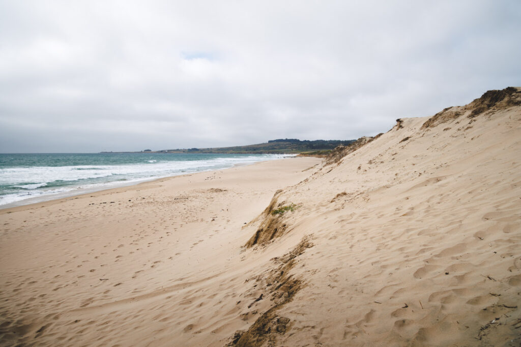 An empty Gazos Creek State Beach on an overcast day in Año Nuevo State Park.