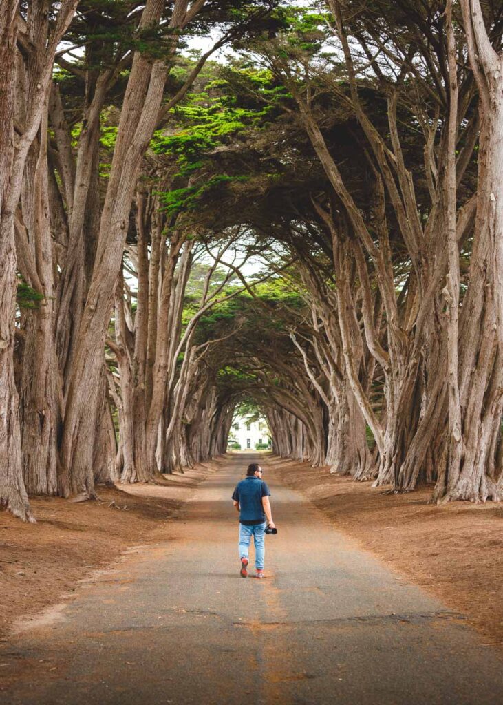 Garret walking through a cypress tree tunnel holding a camera.