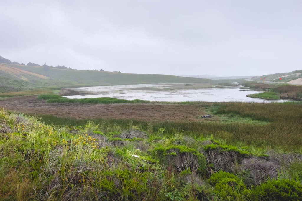 A view over marshland from Franklin Point Trail near Half Moon Bay.