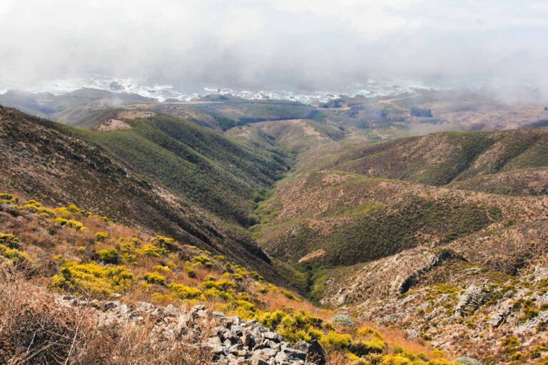 View across Soberanes Canyon and Garrapata State Park to the ocean.