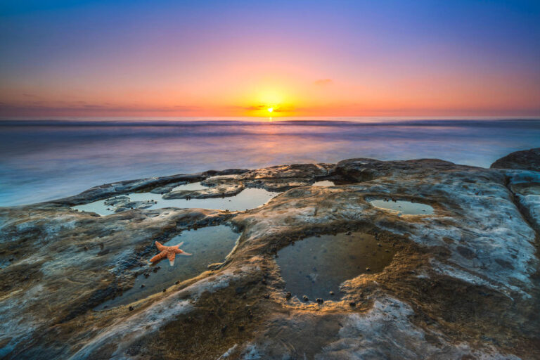 A star fish in a tide pool at sunset.
