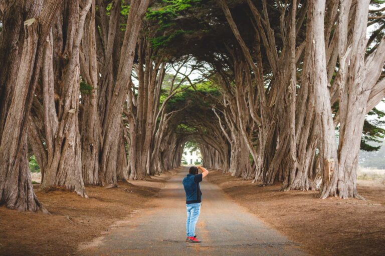 16 Things to Do in Point Reyes National Seashore
