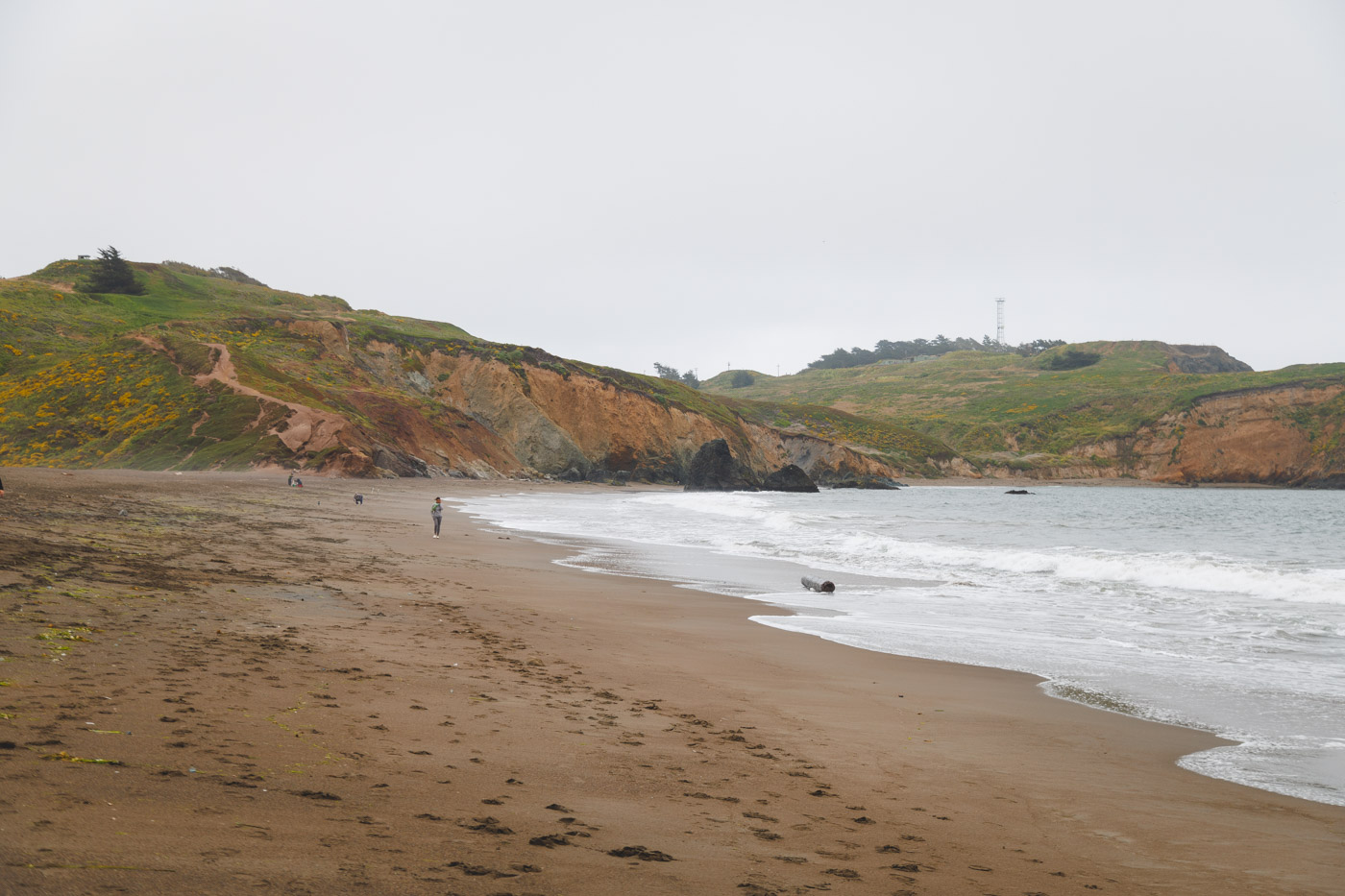 Nina walking along an empty Rodeo Beach near San Francisco.
