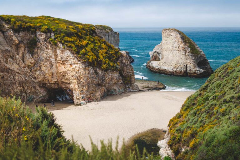 12 BEST Beaches in Santa Cruz