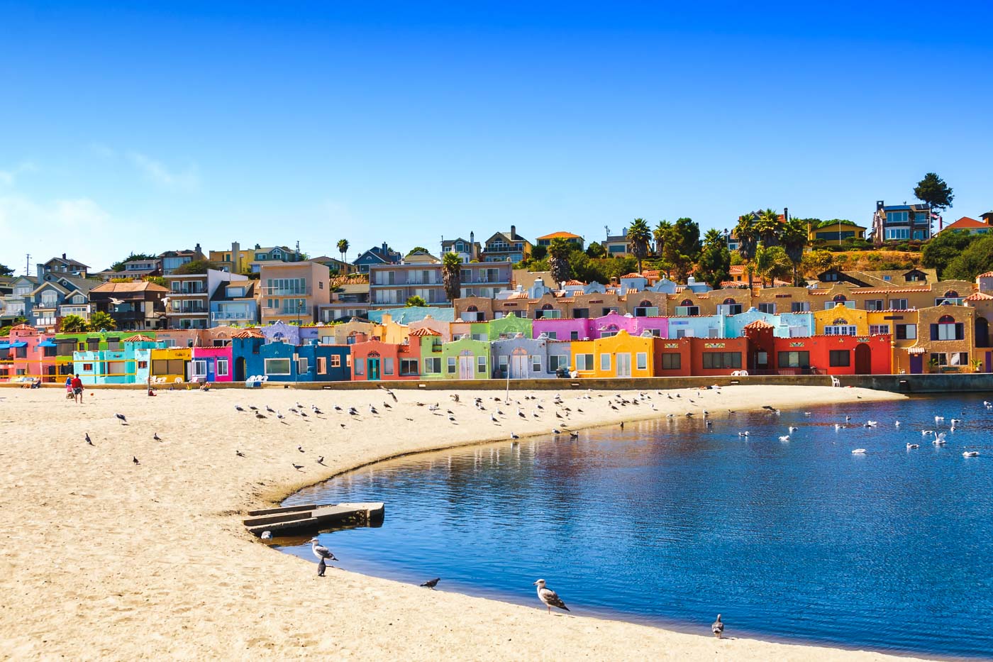 Colorful houses lined up along the edge of a seagull covered Capitola Beach.