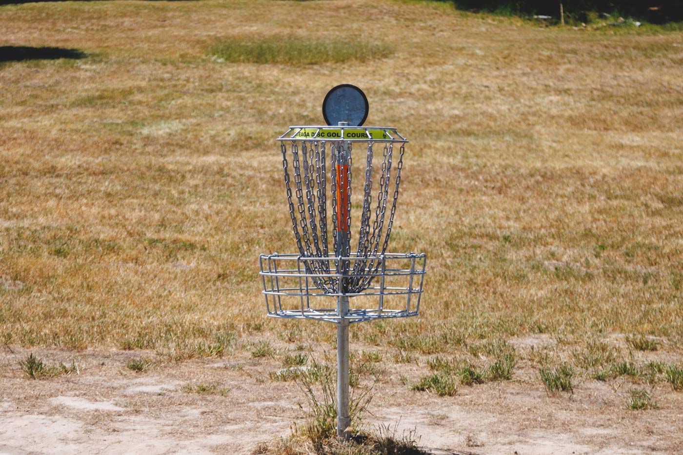 Metal disc golf goal post in DeLaveaga Park.