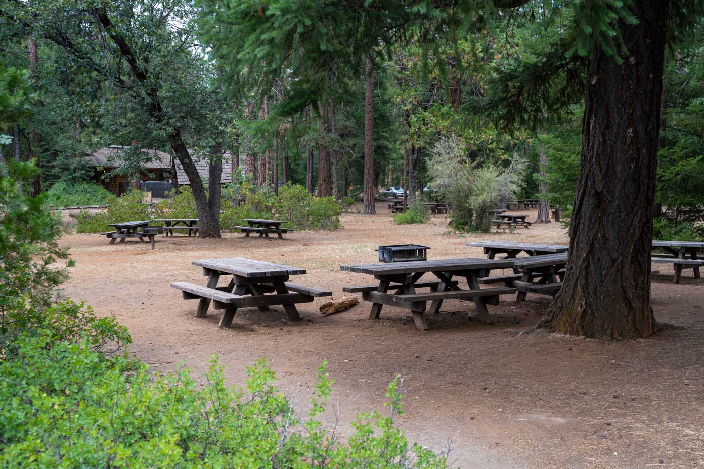 Picnic tables and grills in McArthur Burney Falls State Park in California.