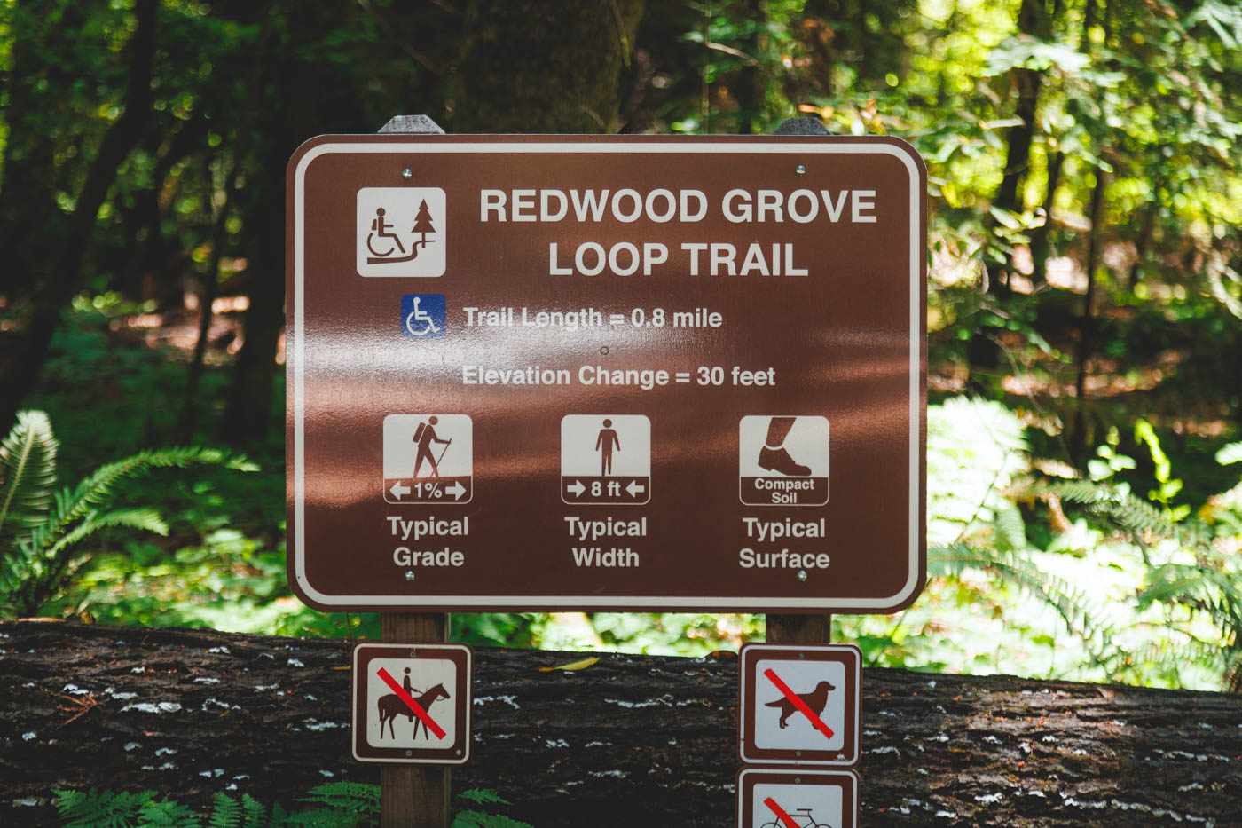 Trailhead and information sign for the Redwood Grove Loop Trail.