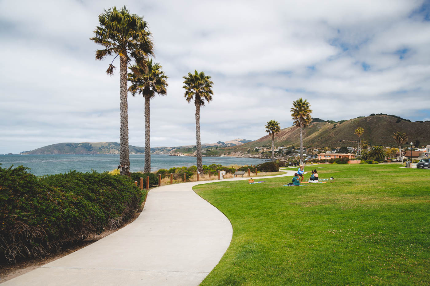 A pathway snaking down the coastline of South Palisades Park with a well groomed grassy area and palm trees either side.