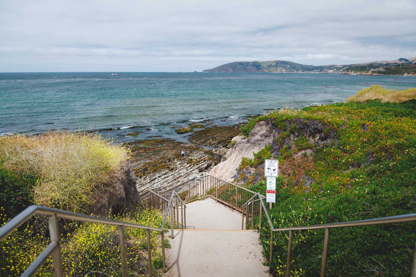 Stairs with metal railings leading down towards the tidepools of South Palisades Park.