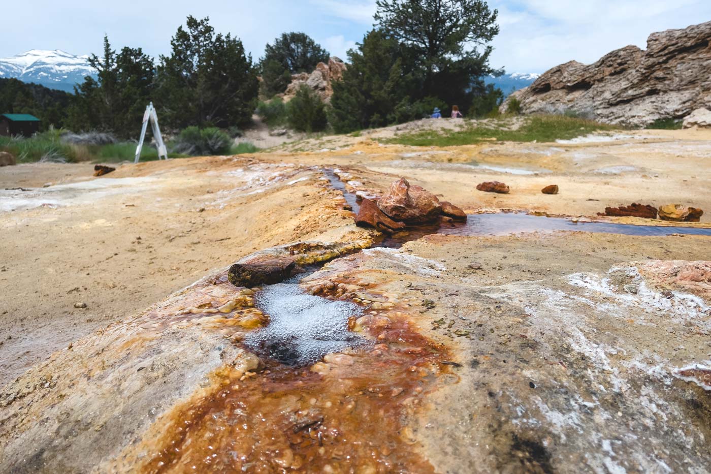 Hot spring water bubbling up from the ground at Travertine Hot Springs.