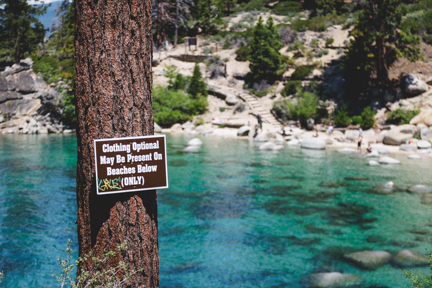 An information sign stating clothing options nailed to a tree with a view of Secret Cove Beach in the background.