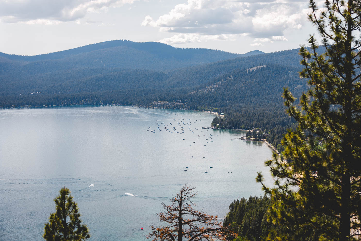 A view over boats on Lake Tahoe with trees surrounding the lake from the Stateline Lookout Trail.