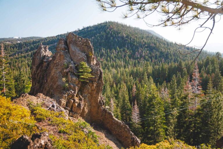Golden sunrise light shining down over Eagle Rock Trail and the forests around it.