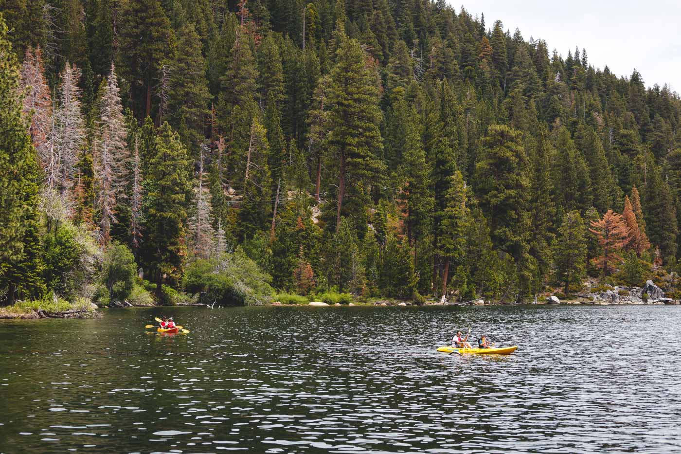 Two kayaks on Lake Tahoe near Emerald Bay with a forest in the backdrop.