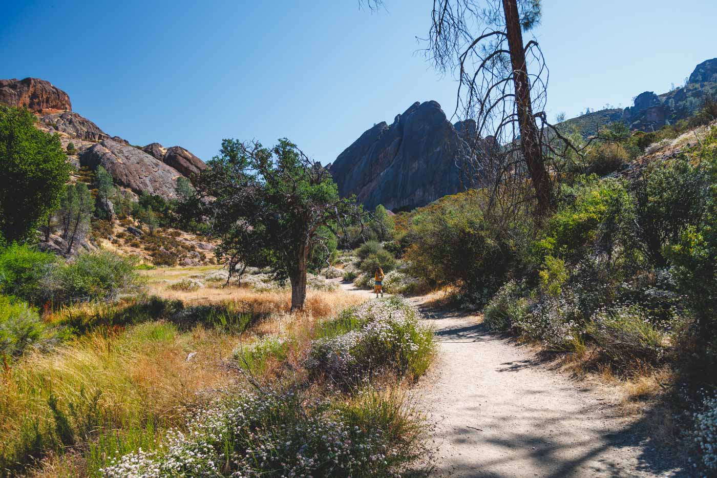 Nina hiking along the Balconies Cave Trail with views of rocks and mountains in Pinnacles National Park.