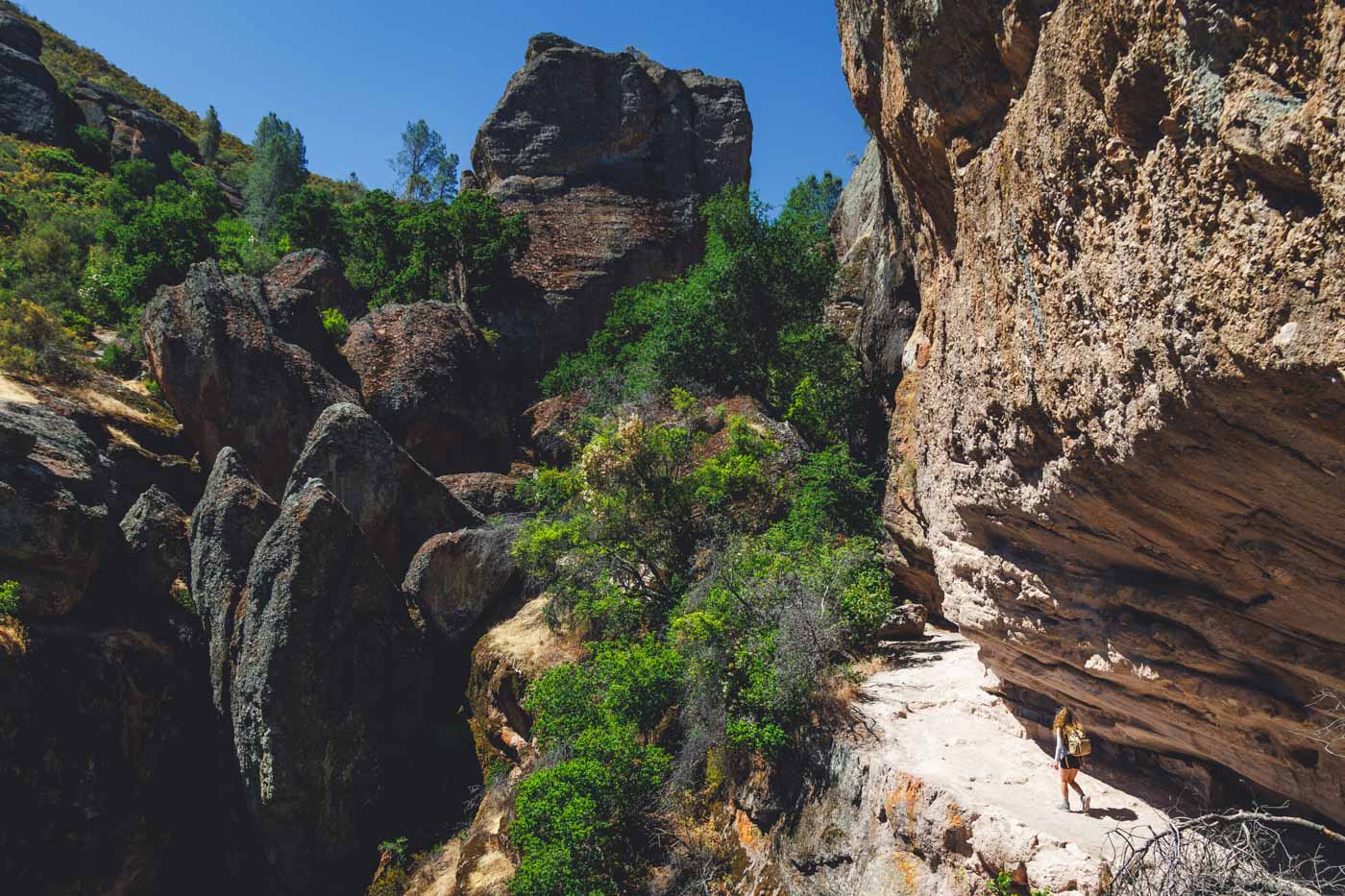 Nina walking along a cliff edge underneath a rocky overhang with a view of rocks and trees in Pinnacles National Park.