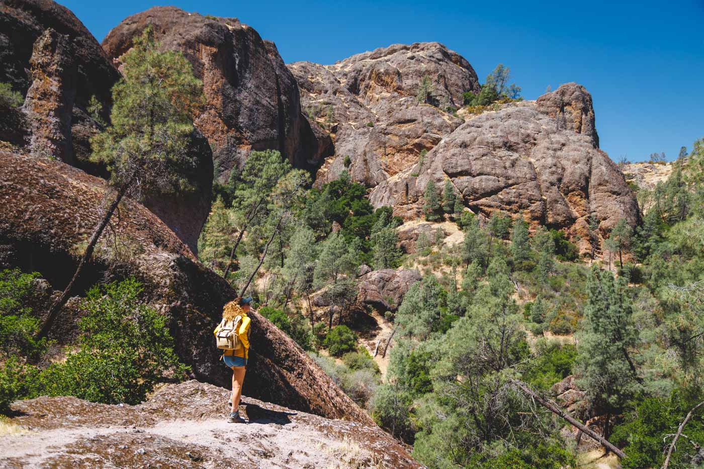 Pinnacles National Park.