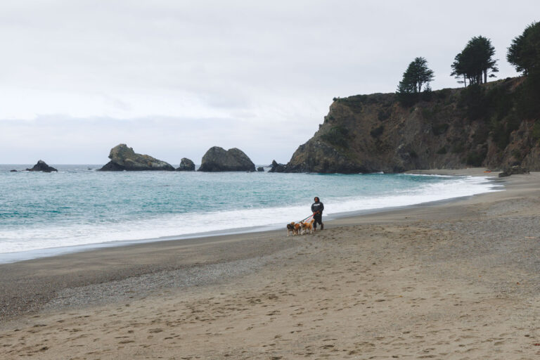 A dog walker along the beach near the campgrounds of Navarro River Redwoods State Park on an overcast day.