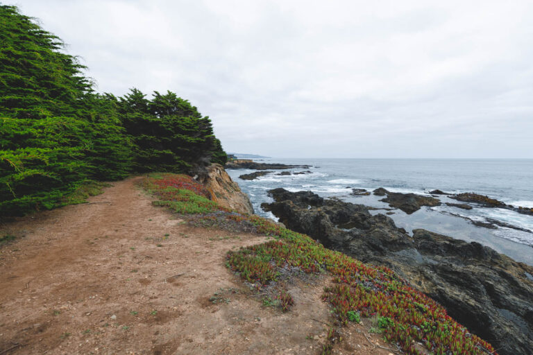 A portion of the Spring Ranch Trail in Van Damme State Park with a view over rocks in the ocean.