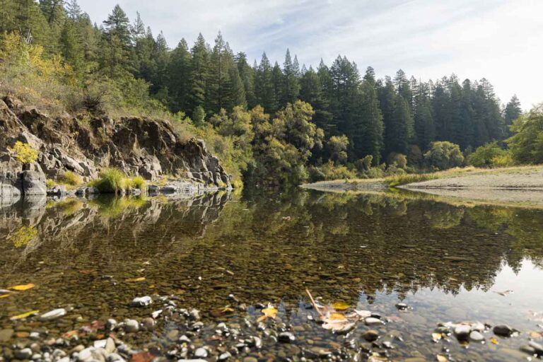 A nice and calm swimming hole with a hill fo trees in the back.
