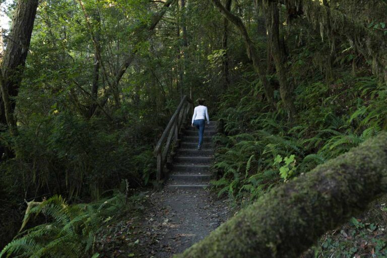 Nina walking on Jedediah Smith River trail up some stairs with a green forest all around.